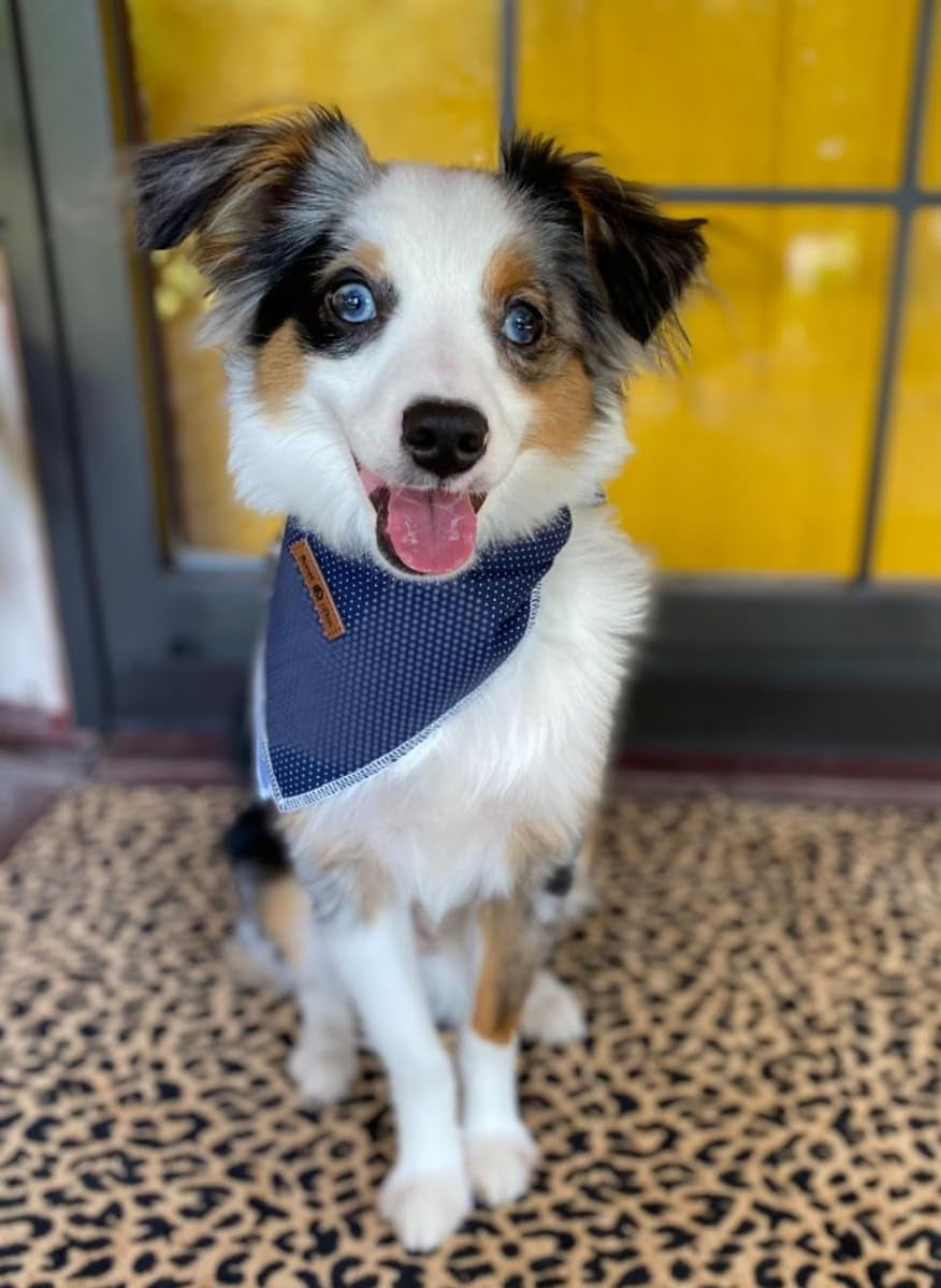 Dog Bandana for Small Medium Large Dogs, Cat Dog Kerchief Blue DOIT, Dog Triangle Bibs Scarf for Girl or Boy